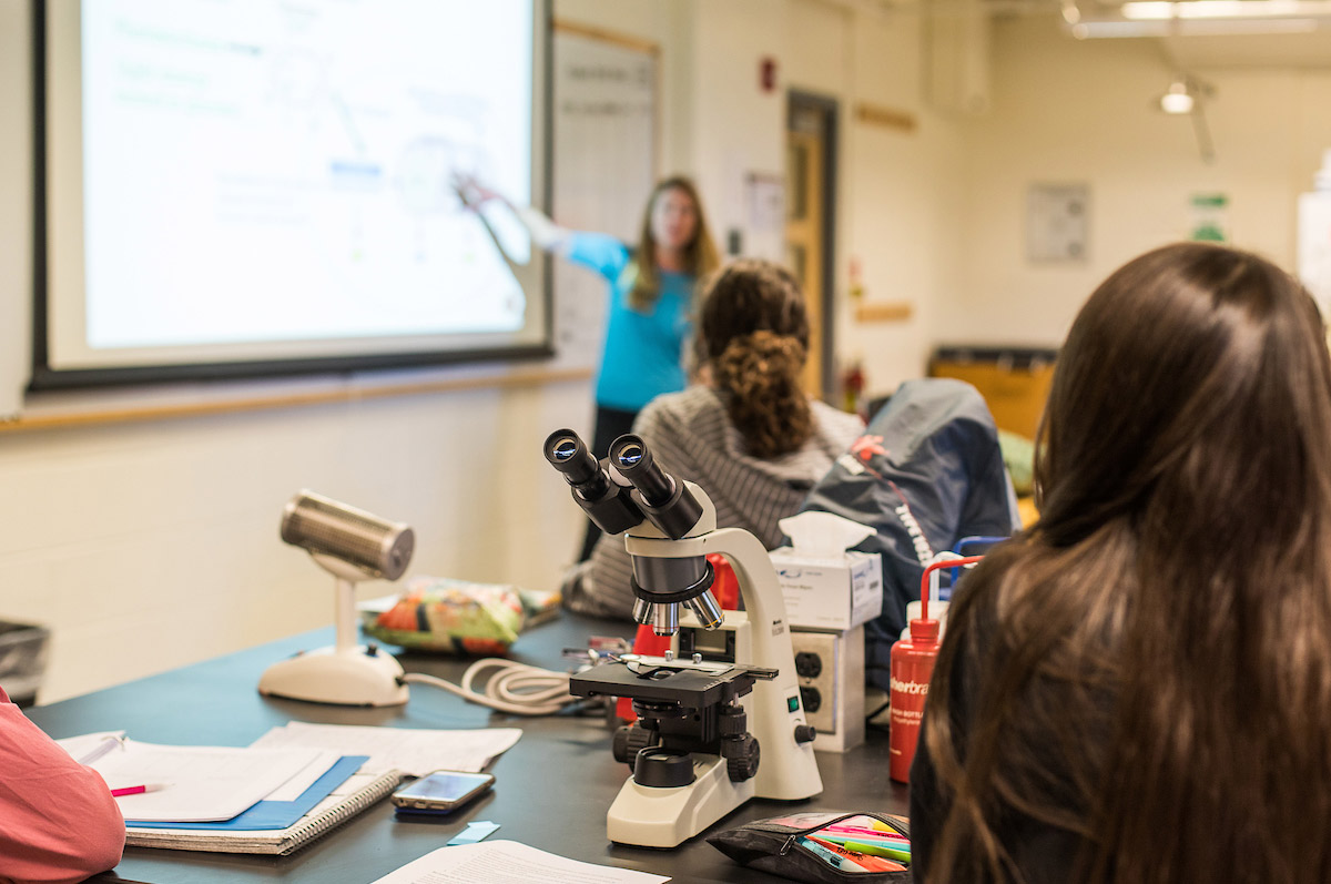 stem instructor teaching in classroom