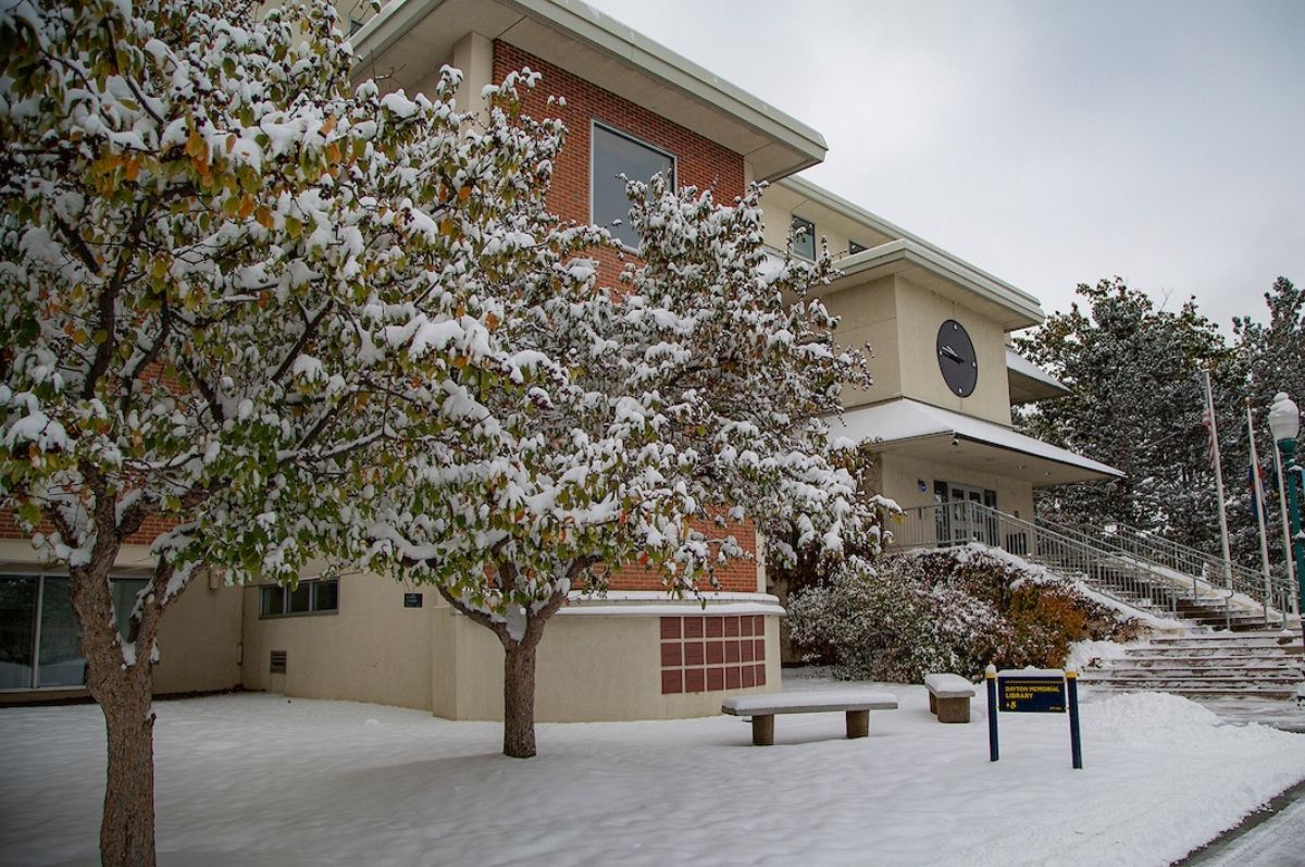 snowy library