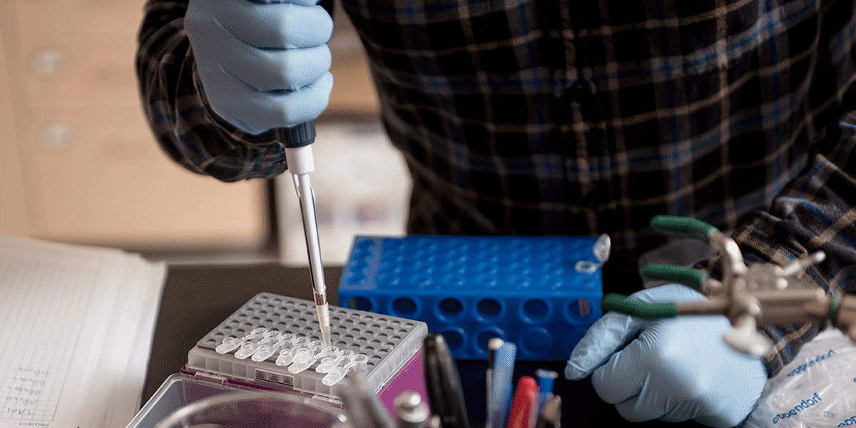 student working with test tubes