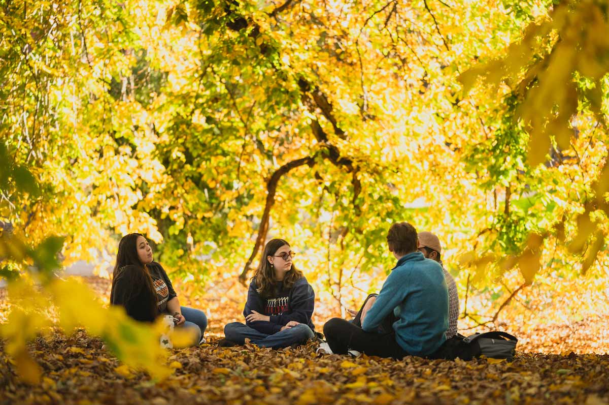 A small group of students sitting on the ground on campus, surrounded by golden autumn leaves and trees.