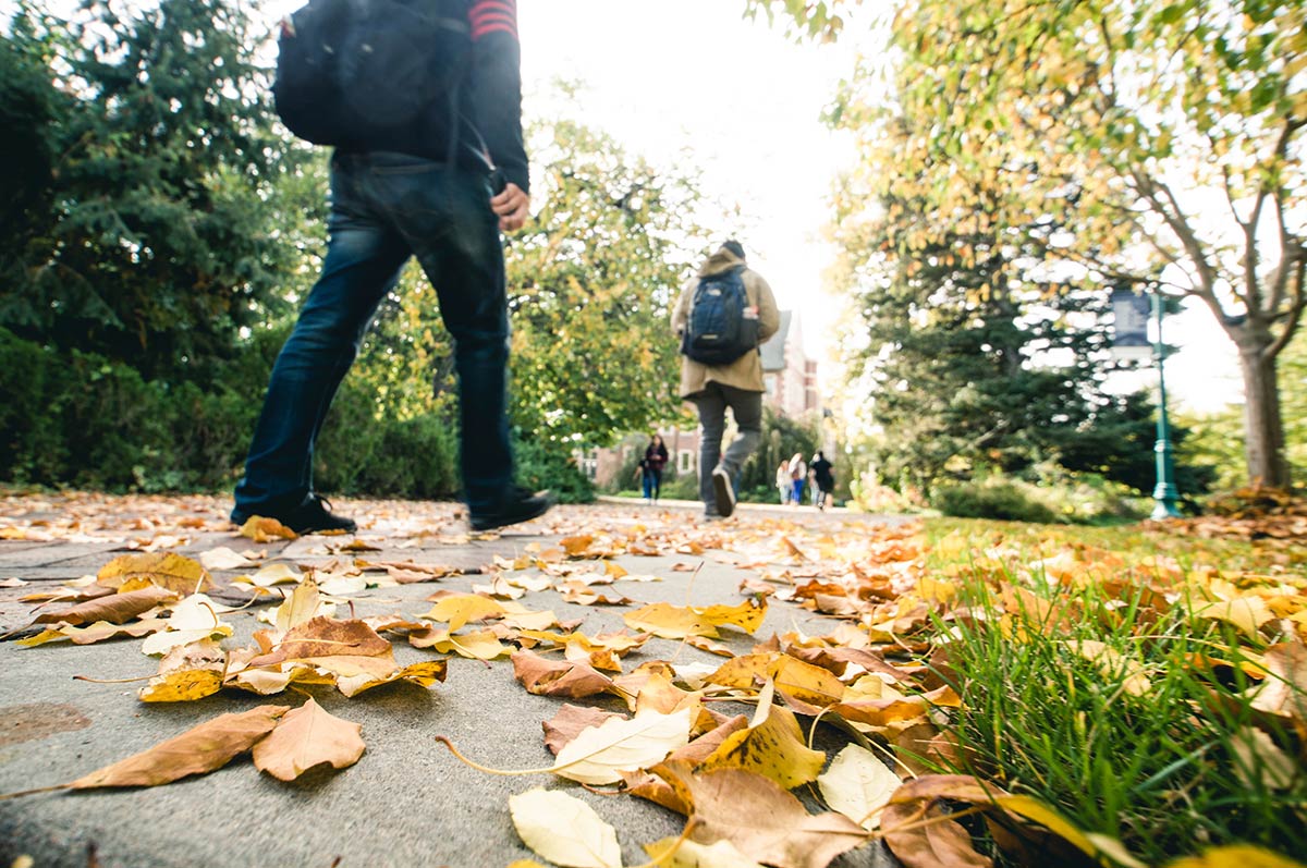 Students walking campus during fall