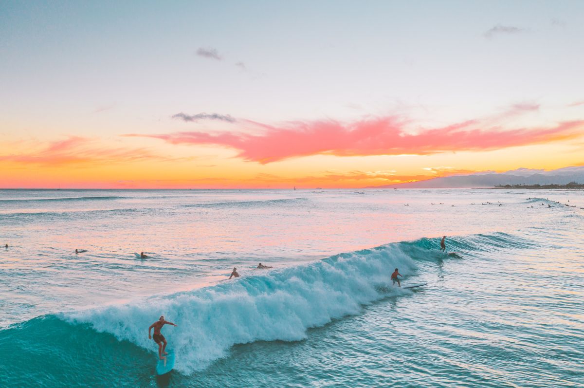 surfers surf on the ocean at sunset