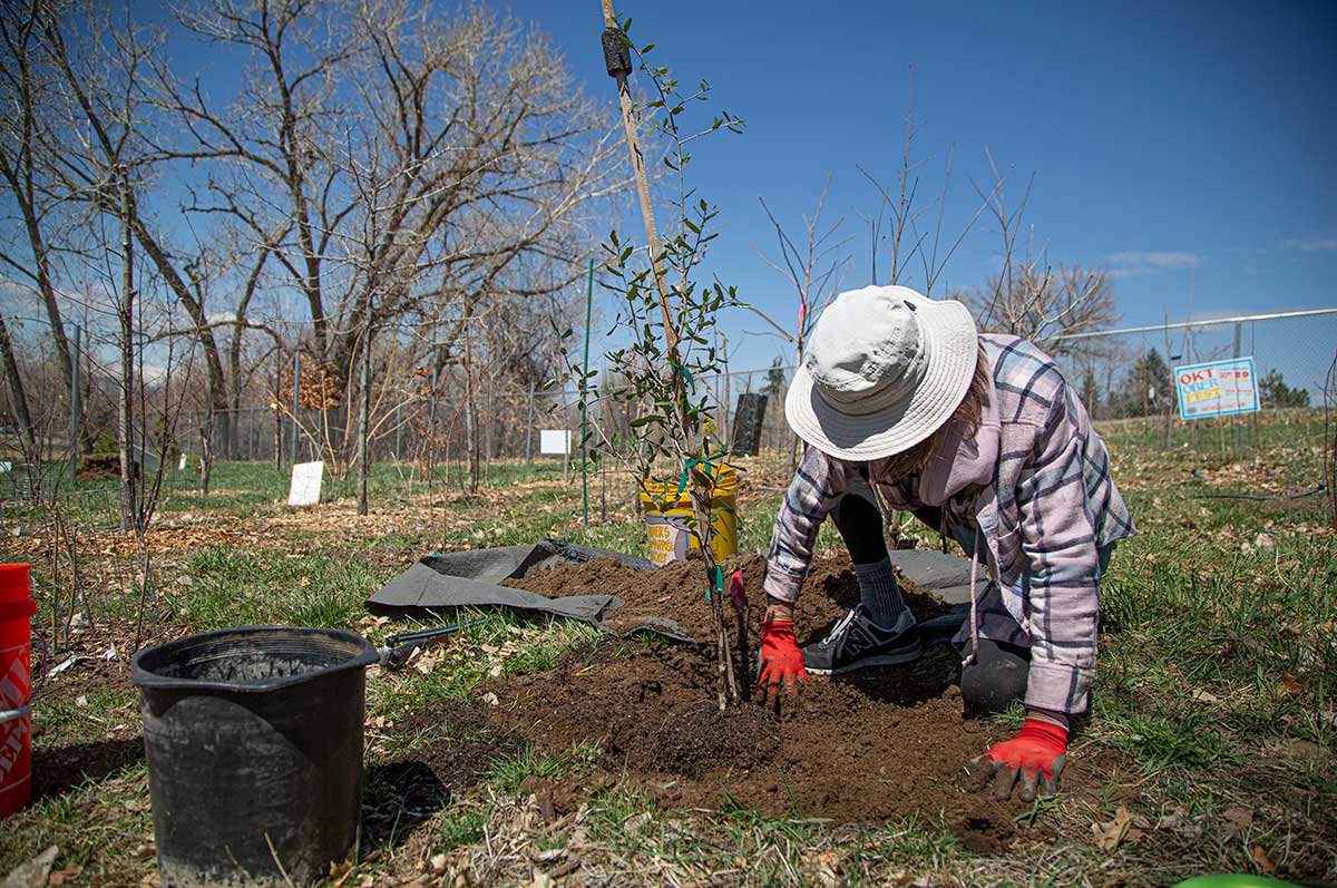 Sonia John works in the soil