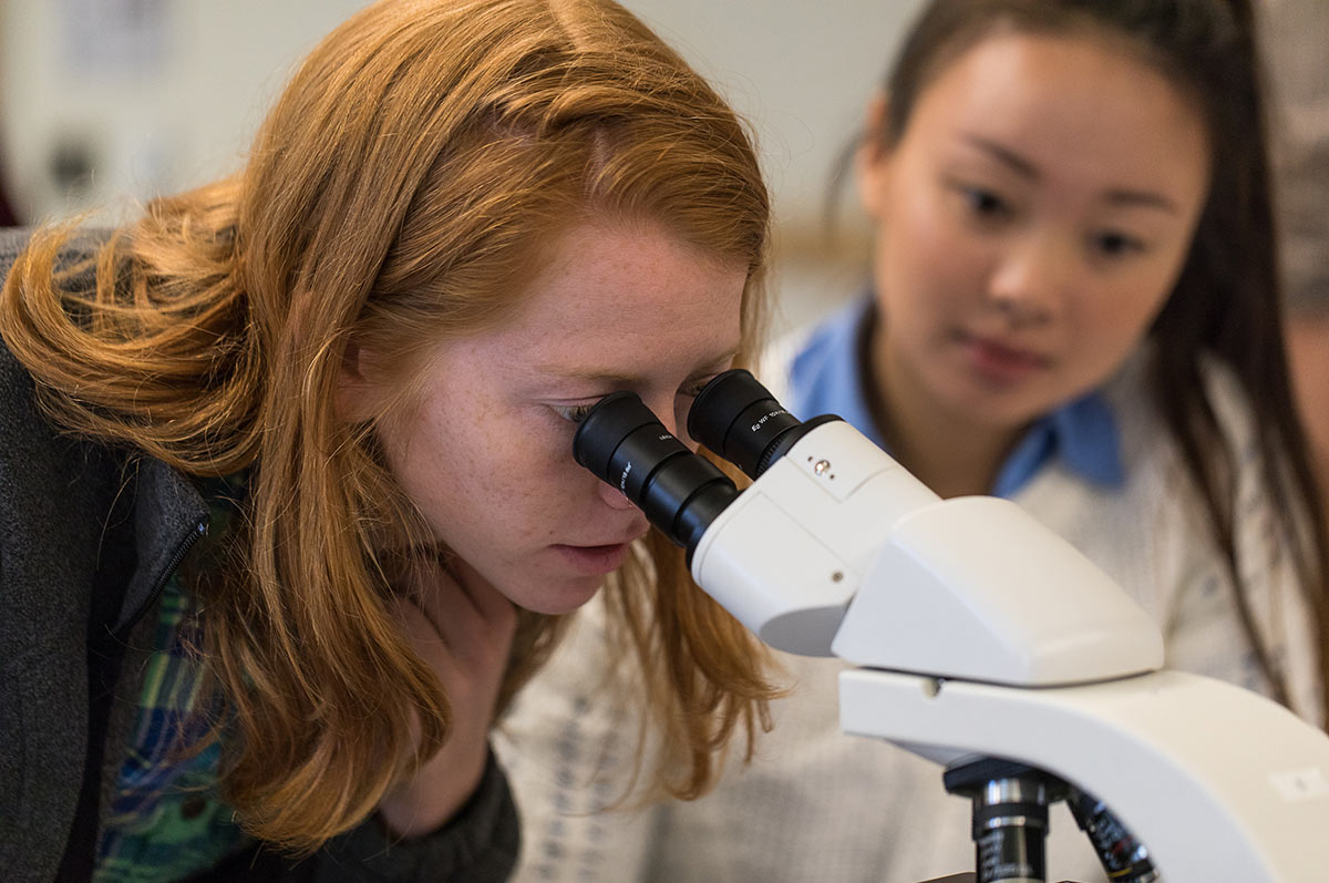 a woman looks through a microscope while her lab partner observes in a Regis classroom