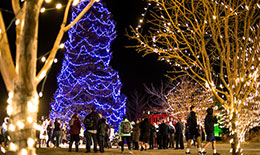 Christmas Tree with blue lights behind crowd and other holiday lights
